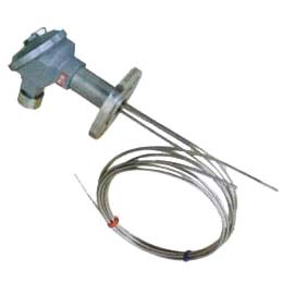 Multipoint thermocouple